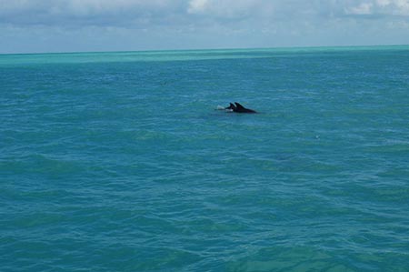 Key West, Florida in Gulf of Mexico (Photo by Amy Anastasopoulos)