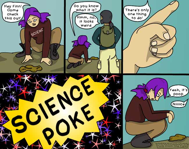 Actual poking of poop with bare hands not recommended (Graphic by Liv Monck-Whipp/Tails from the Field)