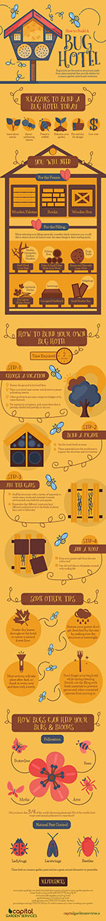How to build a bug hotel (Infographic by Capital Garden Services)
