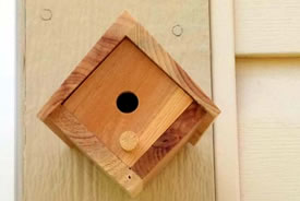 Bee homes come in all shapes and sizes. (Photo by NCC)