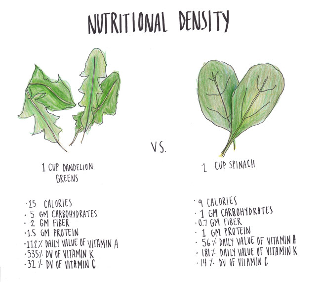 Nutrition density comparison (Illustration by Chloe Saunders)
