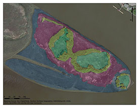 Polygons used to divide Swishwash Island into habitat types (Photo by BCIT)