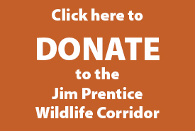 Donate to the Jim Prentice Wildlife Corridor
