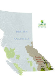 The Canadian Rockies Program priority natural areas (Map by NCC)