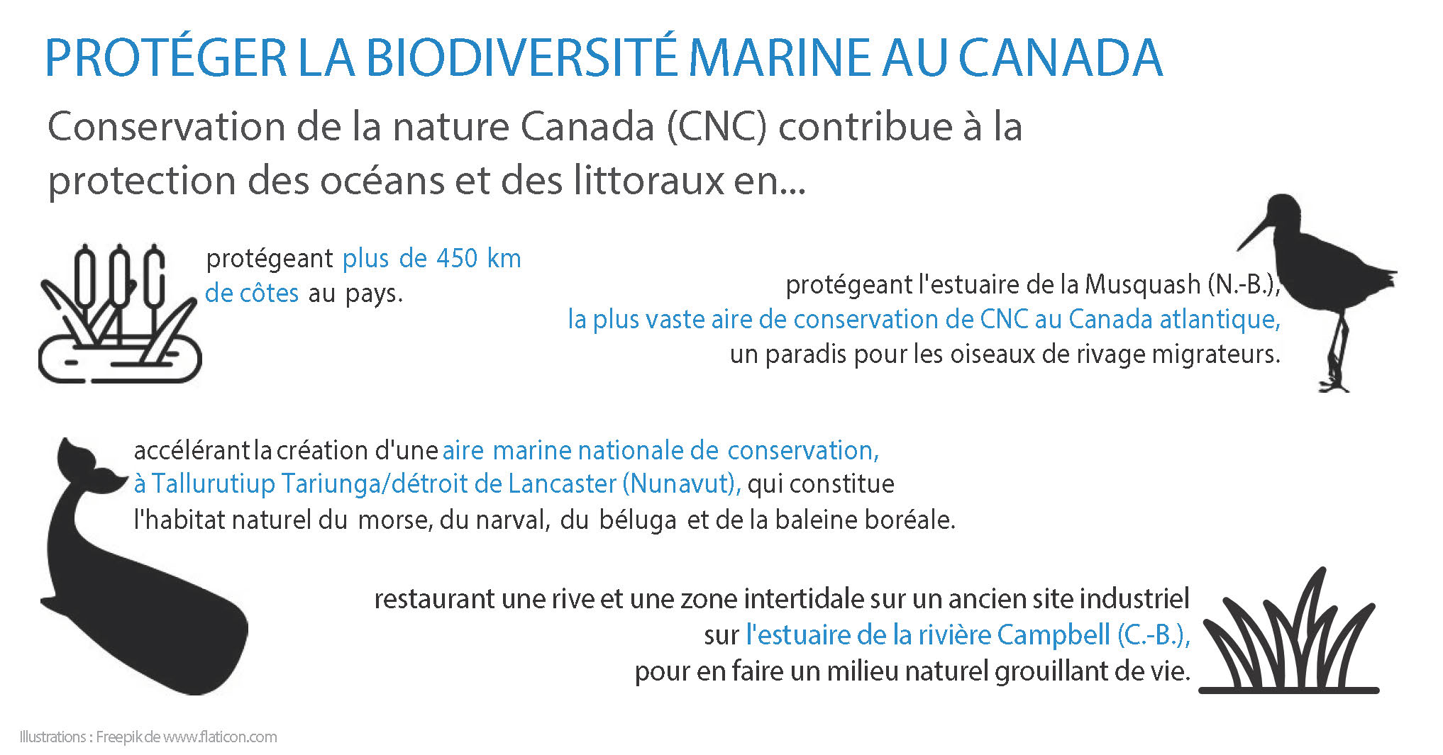 Protéger la biodiversité marine au Canada (Infographie de CNC)