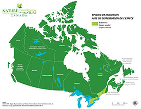 Canadian distribution of butternut (Map by NCC)