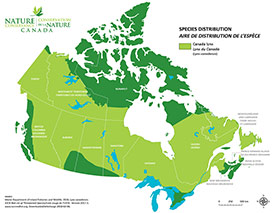 Canadian distribution of Canada lynx (Map by NCC)