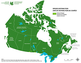 Canadian distribution of Dakota skipper (Map by NCC)