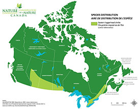 Canadian distribution of eastern loggerhead shrike (Map by NCC)