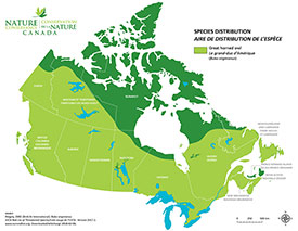 Canadian distribution of great horned owl (Map by NCC)