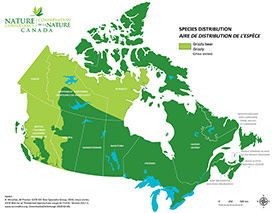 Canadian distribution of grizzly (Map by NCC)