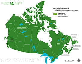 Distribution of Hine's emerald in Canada (Map by NCC)