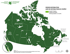 Distribution of Howell's triteleia in Canada (Map by NCC)