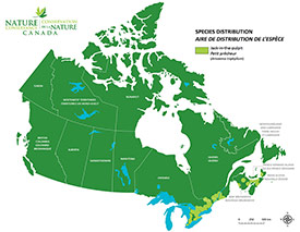 Canadian distribution of Jack-in-the-pulpit (Map by NCC)