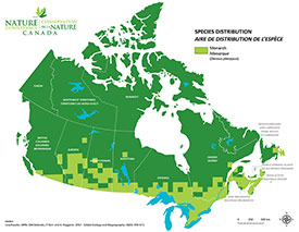 Canadian distribution of Monarchs (Map by NCC)