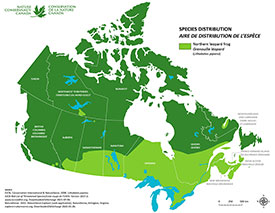Distribution of northern leopard frog in Canada (Map by NCC)