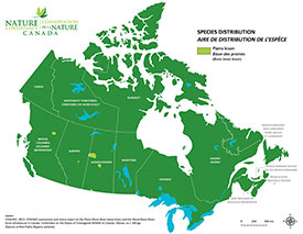 Canadian distribution of plains bison (Map by NCC)