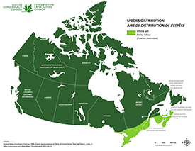 Canadian distribution of white ash (Map by NCC)