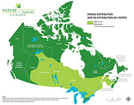 Canadian distribution of yellow rail (Map by NCC)