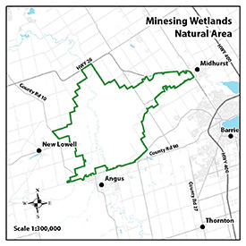 Minesing Wetlands Natural Area map