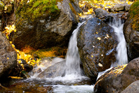 Autumn creek (Photo by Karol Dabbs)