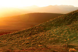 Sunset at Pine Butte Ranch (Photo by Tim Ennis/NCC)