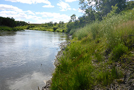 Waggle Springs, Assiniboine Delta, MB (Photo by NCC)