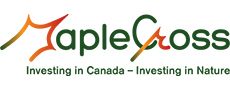 MapleCross Fund