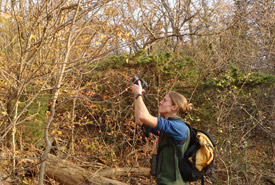Mhairi McFarlane, conservation science for Ontario, capturing the Lake Erie watersnake on film, Ontario (Photo by NCC)