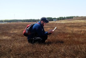 NCC Conservation Intern Mitchell MacMillan working in the field, PEI (Photo by NCC)