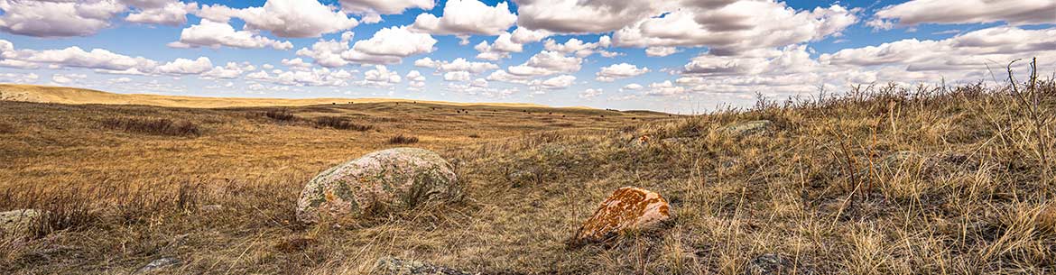 Prairie grassland under clouds in a blue sky (Photo by Leta Pezderic / NCC Staff)
