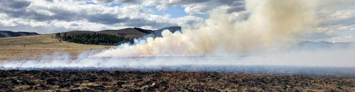 Brûlage dirigé au ranch Tongue Creek, Alb. (Photo de CNC)