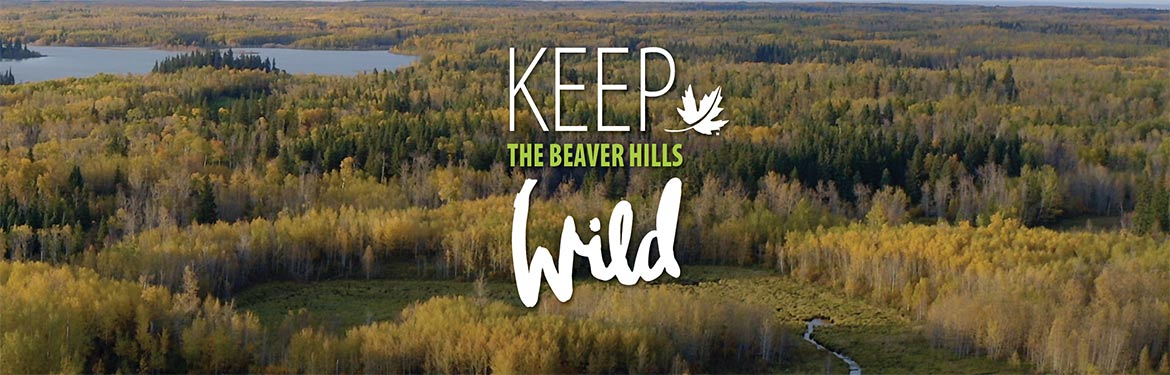Campagne de financement Keep the Beaver Hills Wild (Alb.)
