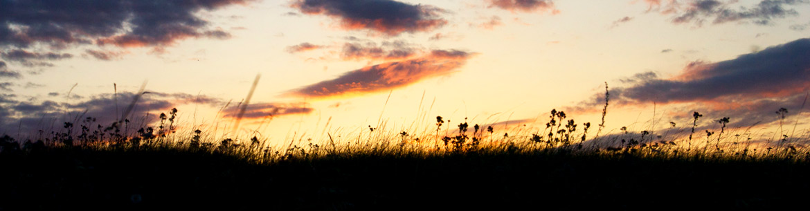 Coucher de soleil sur la prairie (Photo de Sean Feagan/CNC)