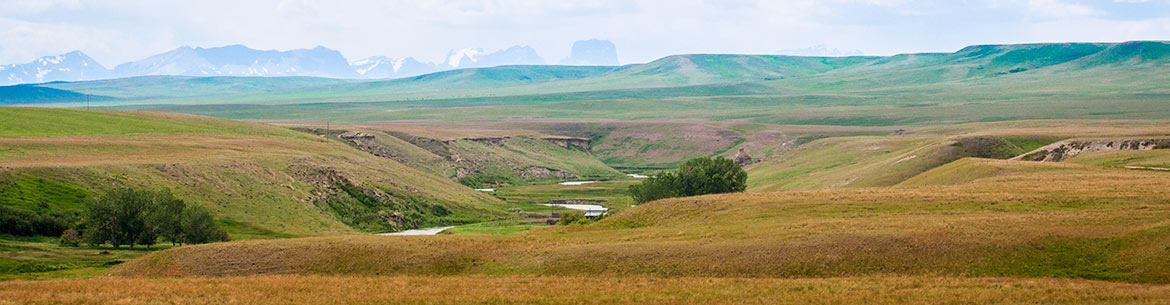 Sandstone Ranch, Alberta (Photo by Leta Pezderic)