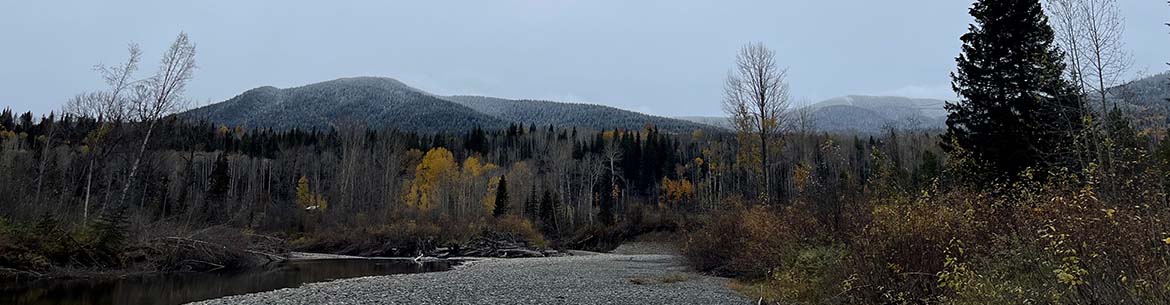 Horsefly River Riparian Area. Photo by Sarah Bayliff/NCC