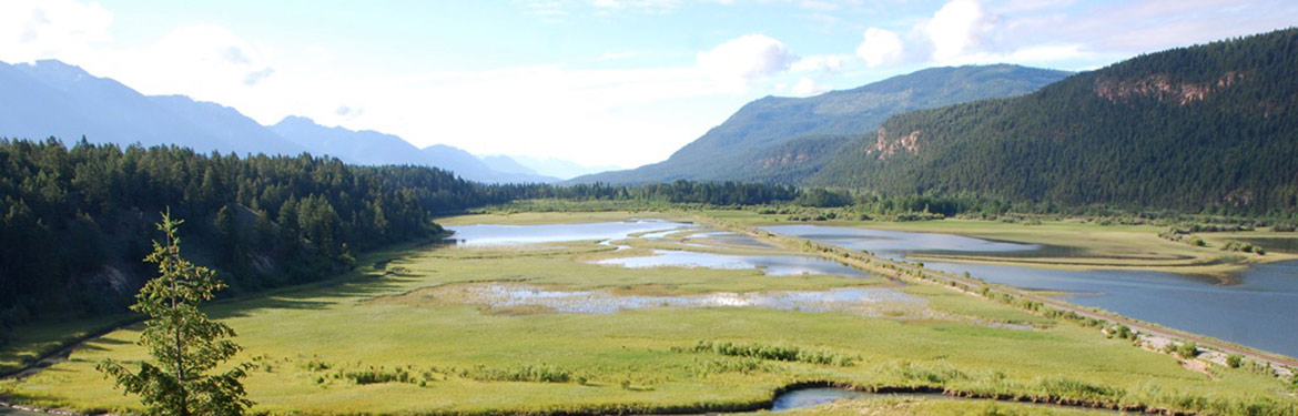 The wetlands on Luxor Linkage, BC (Photo by NCC)