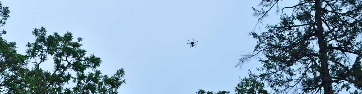 A research drone hovers above CGOP (Photo by Paul Hacker)