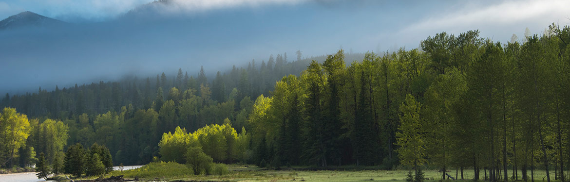 Elk Valley Heritage Conservation Area (Photo by Steve Ogle)