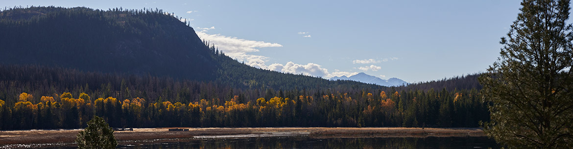 Kootenay River Ranch Conservation Area (Photo by Colin Way)
