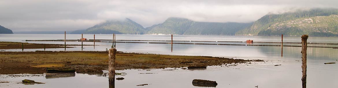 Rivers Inlet estuary (Photo by NCC)