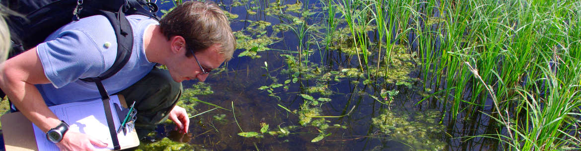 Conducting an amphibian survey (Photo by NCC)