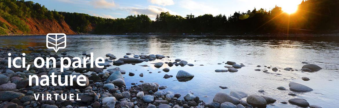 Rivière Crabbes, T.-N.-L. (Photo de Mike Dembeck)