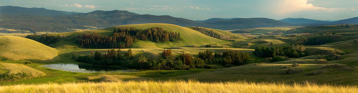 Grasslands near Douglas Lake Ranch, BC (Photo by Chris Harris, Getty Images)