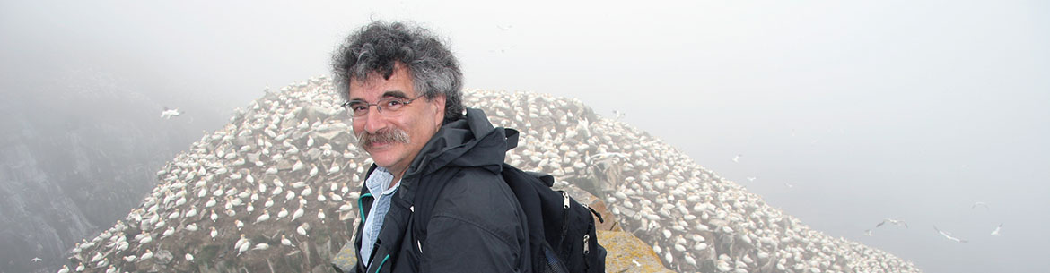 Dr. Bill Freedman, Cape St. Mary's, NL (Photo by Sheldon Bowles)