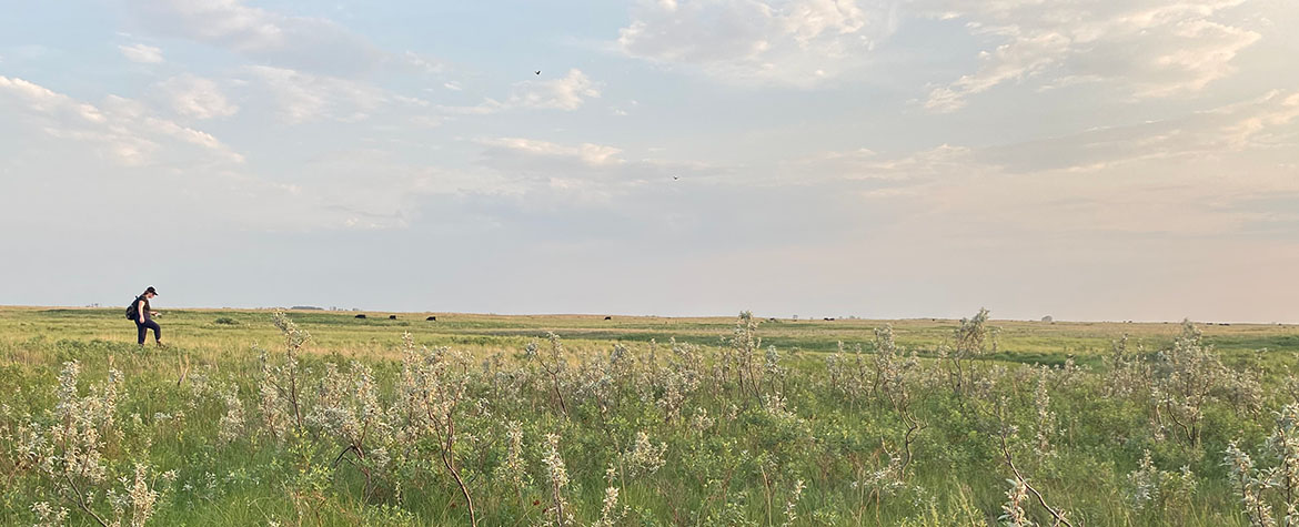 Stagiaire en conservation, Manitoba (Photo de CNC)