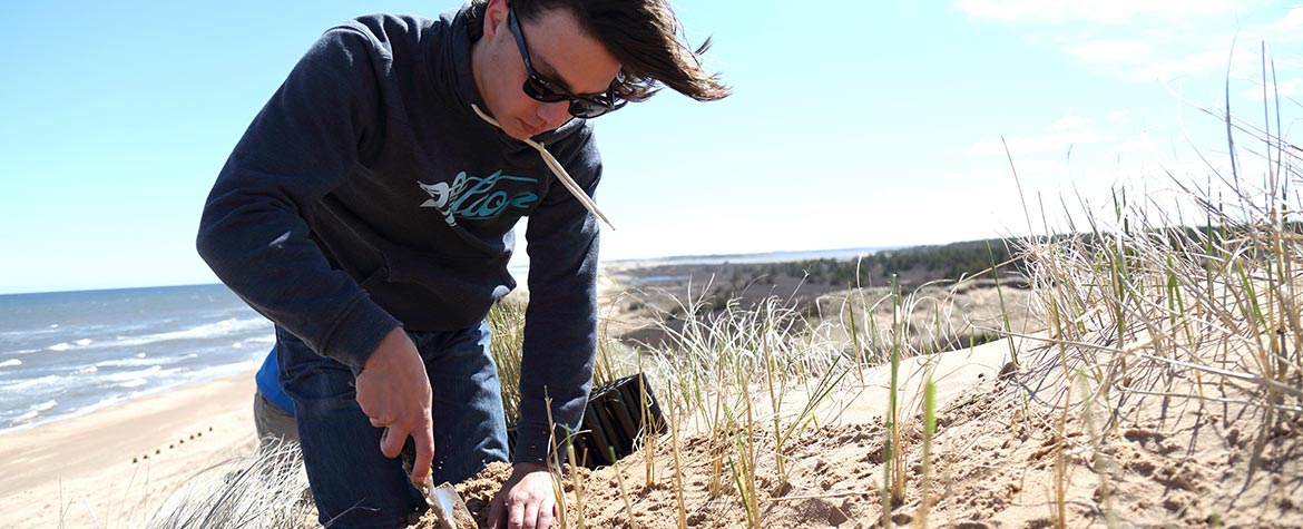 Conservation Volunteer planting plugs at Blooming Point, PEI (Photo by Mike Dembeck)
