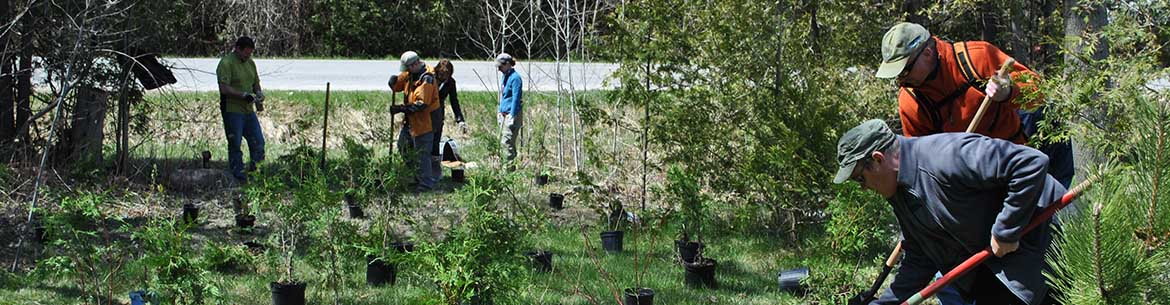 Volunteers from Lotek help create a riparian buffer by planting native trees (Photo by NCC)  