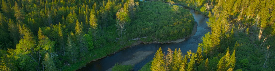 Bartholomew River, Miramichi, NB (Photo by Mike Dembeck)