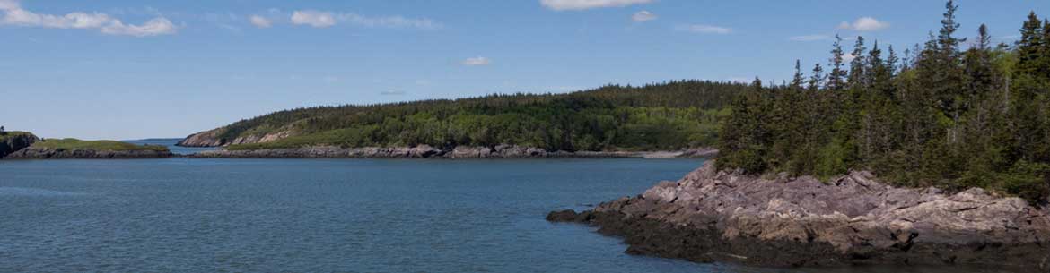 Musquash Estuary, New Brunswick (Photo by Courtney Cameron/ NCC Staff)